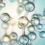 L-Carnitine